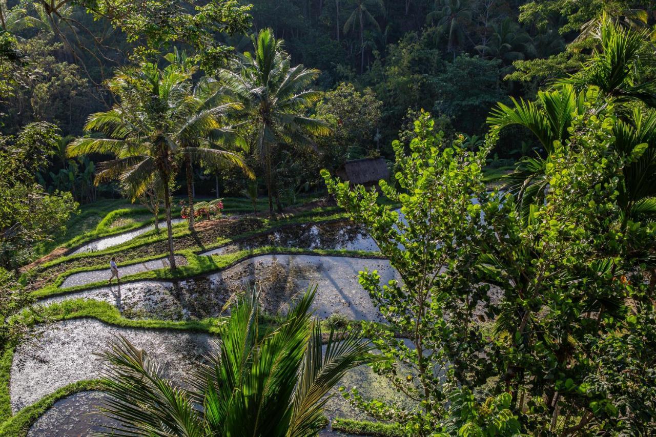 Komaneka At Bisma Ubud Buitenkant foto